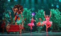 桃花公主爆料视频,视频爆料背后的惊人真相